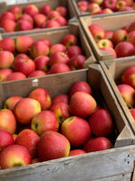 Caisse de pommes 36lb - Produit du Québec